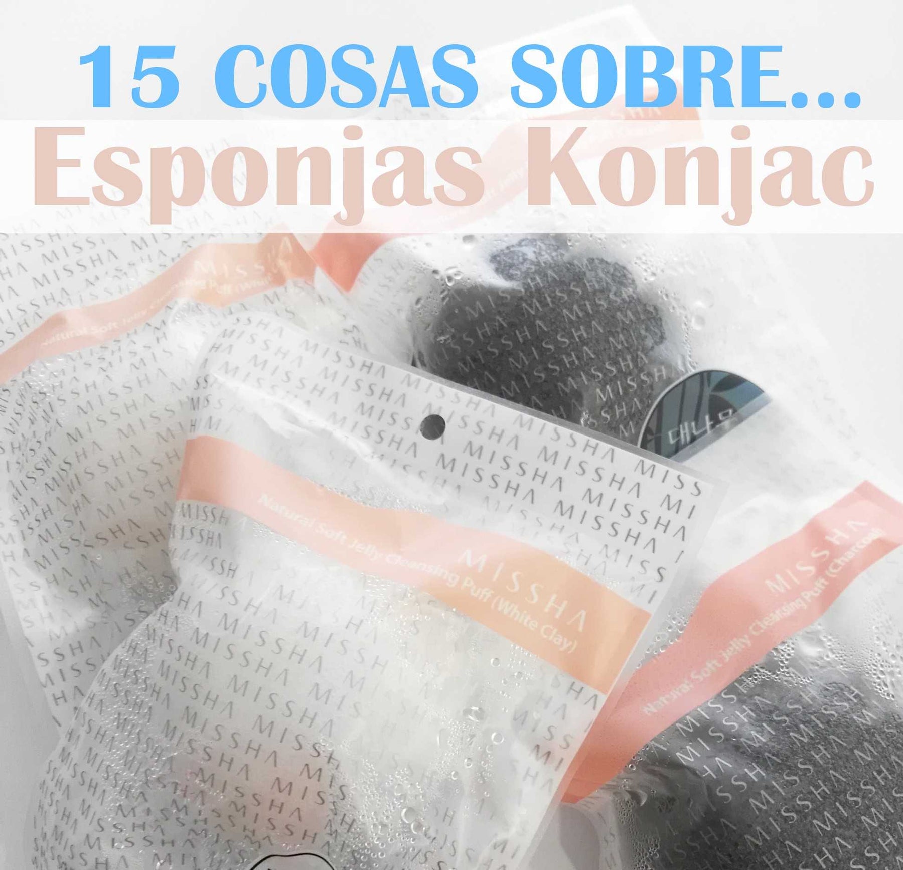 15 Cosas Acerca de la Esponja Coreana Konjac