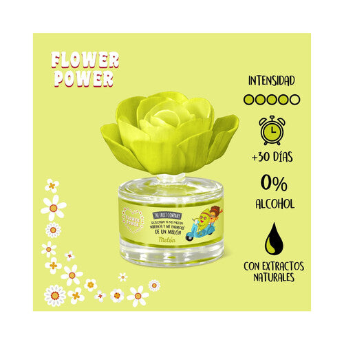 Ambientador en Flor - Melón - The Fruit Company - 2