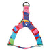 Arnés Color Block Multicolor - Hu : S - 1