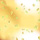 Aceite de Labios Lip Oil - L.A. Colors : Hunnybun - 2