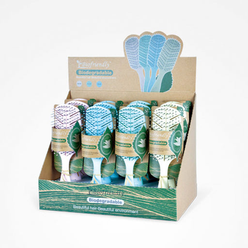 Expositor Cepillos Esqueleto Biodegradable Biofriendly 12 Unidades - Bifull - 1