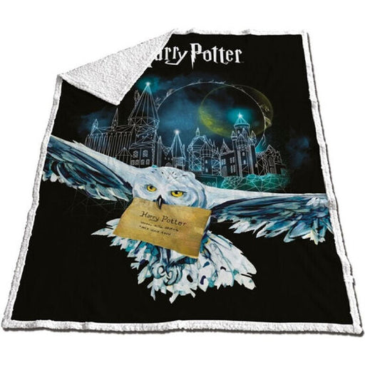 Manta Coralina Sherpa Harry Potter 130x170cm - Warner Bros. - 1