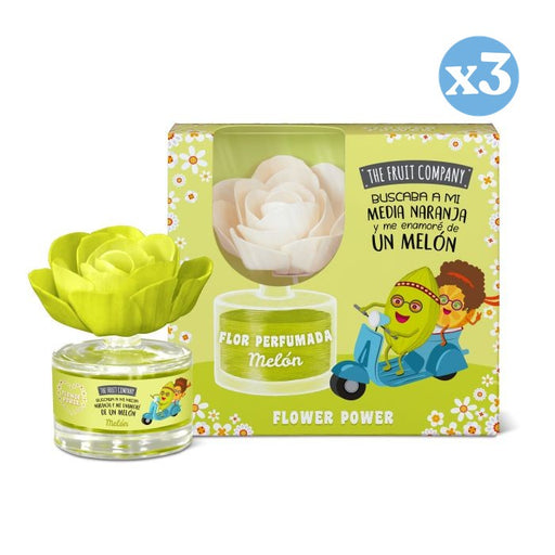 Pack 3x: Ambientador en Flor - Melón - The Fruit Company - 1