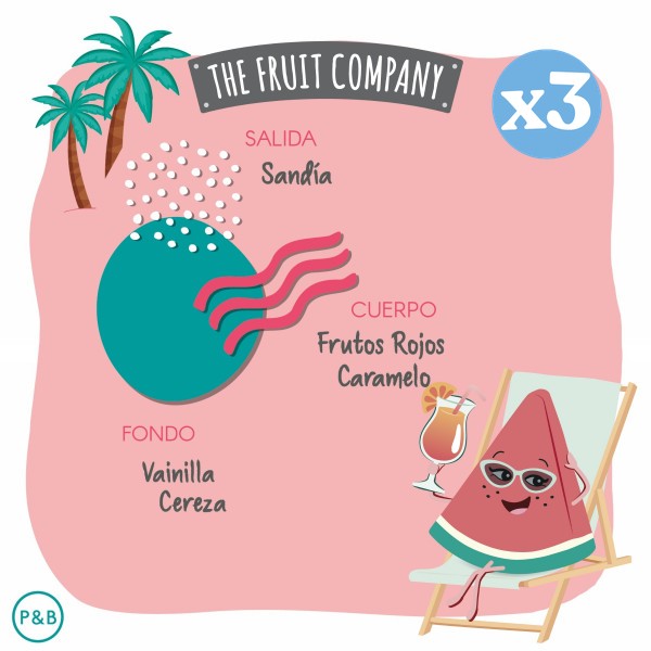 Pack 3x - Ambientador Spray Multiusos - The Fruit Company - 3