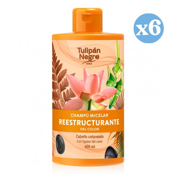 Pack 6x - Champú micelar reestructurante del color - Tulipan Negro - 1