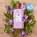 Pack 3x - Colonia Floral Lilas de Italia : 500 ML - Tulipan Negro - 2