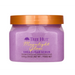 Exfoliante de Azúcar Moonlight Glow 510gr - Tree Hut - 1