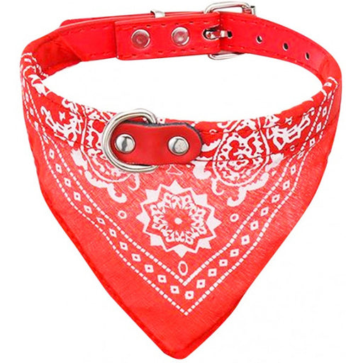 Collar Bandana Roja - Hu: XL - 1