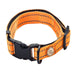 Collar Reflectante Naranja - Hu: M - 3