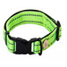 Collar Reflectante Verde - Hu: M - 3