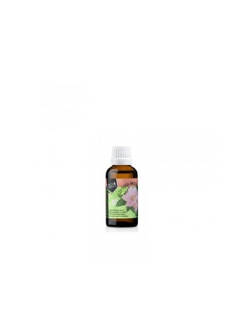 Aceite Capilar de Rosa Mosqueta - óleo Rosa Mosqueta 30 ml - Real Natura - 1