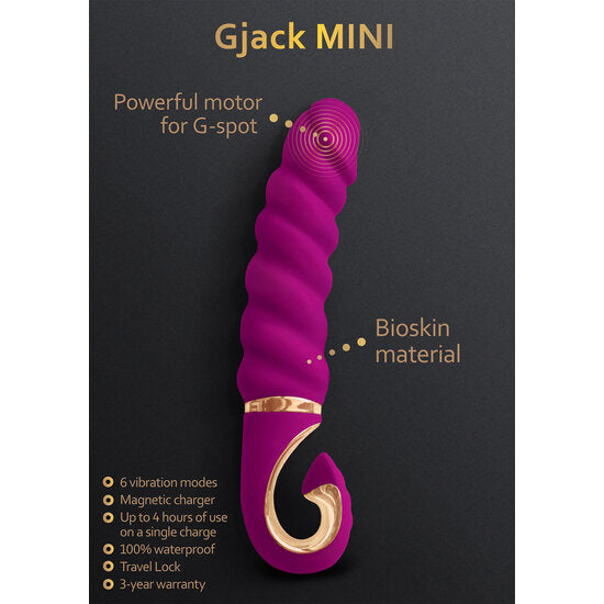 Gjack Mini - Gvibe - 4